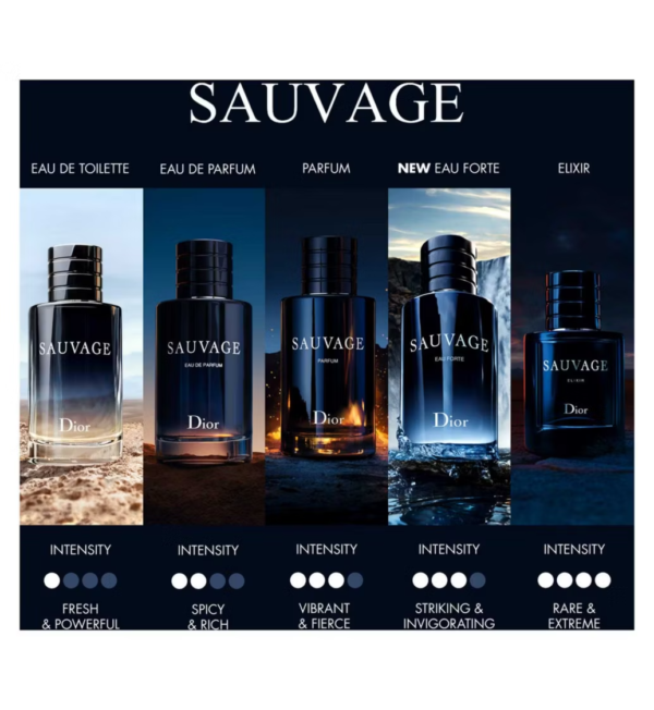 DIOR Sauvage Eau de Toilette 60ml - Image 3