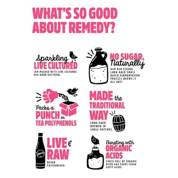 Remedy Kombucha Wild Berry 250ml - Image 2