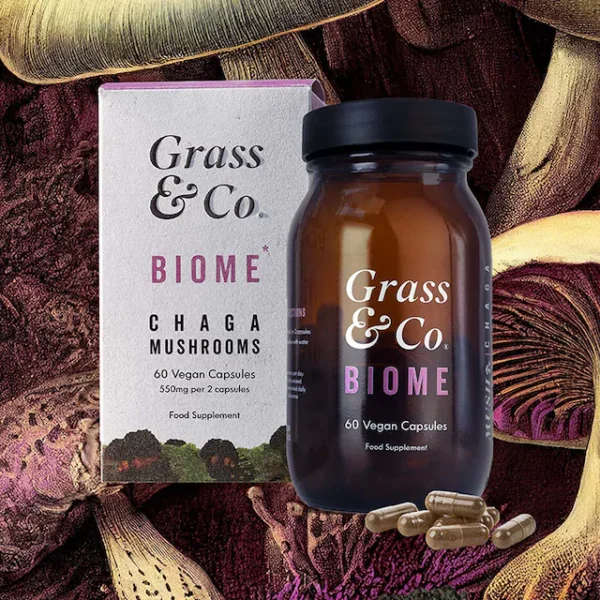 Grass & Co. BIOME Chaga Mushrooms with Curcumin + Ginger 60 Vegan Capsules - Image 2