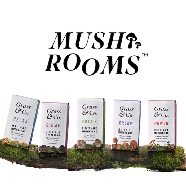 Grass & Co. BIOME Chaga Mushrooms with Curcumin + Ginger 60 Vegan Capsules - Image 5