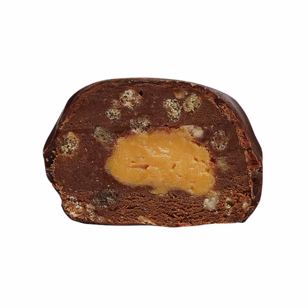 Bounce Dipped Chocolate Hazelnut Praline Plant Protein Ball 40g - Image 2