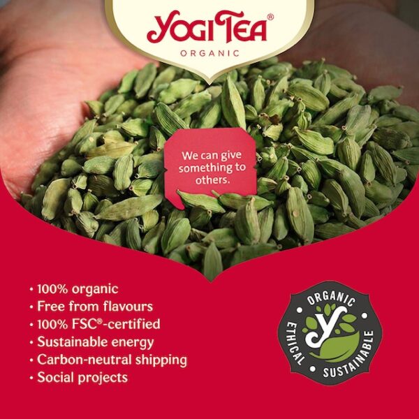 Yogi Tea Immune Support Tea (Echinacea, Acerola Cherry & Elderberry) 17x Tea Bags - Image 5