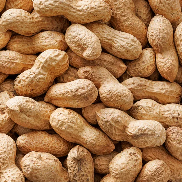 Holland & Barrett Roasted Monkey Nuts 300g - Image 3